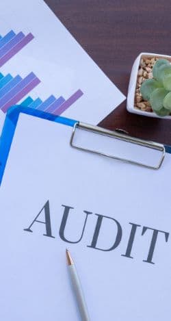 Full Business Process Audit